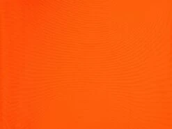 Bottom Calendula Italy 11 Bottom Calendula Italy -Deals Scrunch Bikini Store 19811153511 EXTRA 6