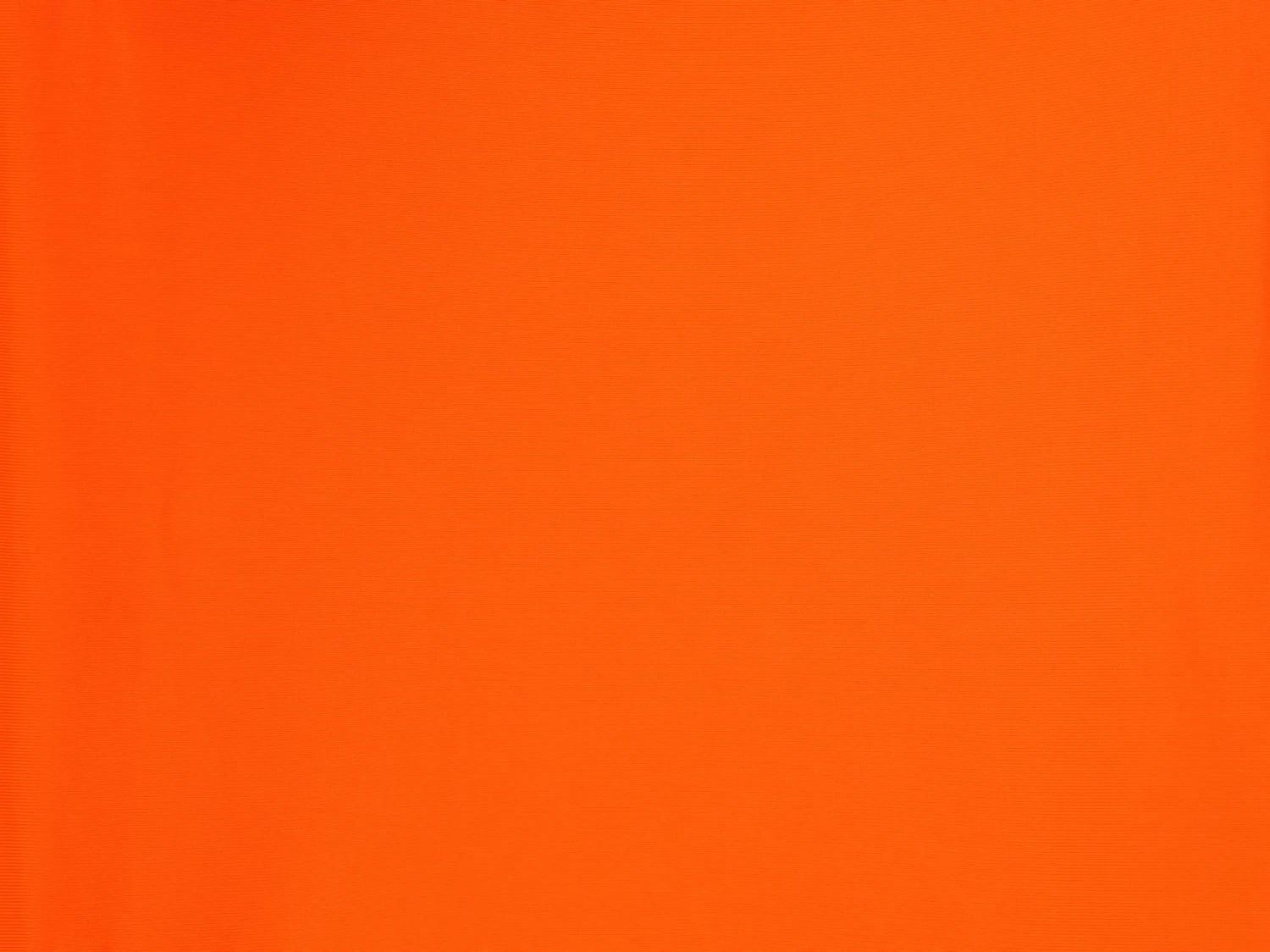 Bottom Calendula Italy 7 Bottom Calendula Italy - Image 5