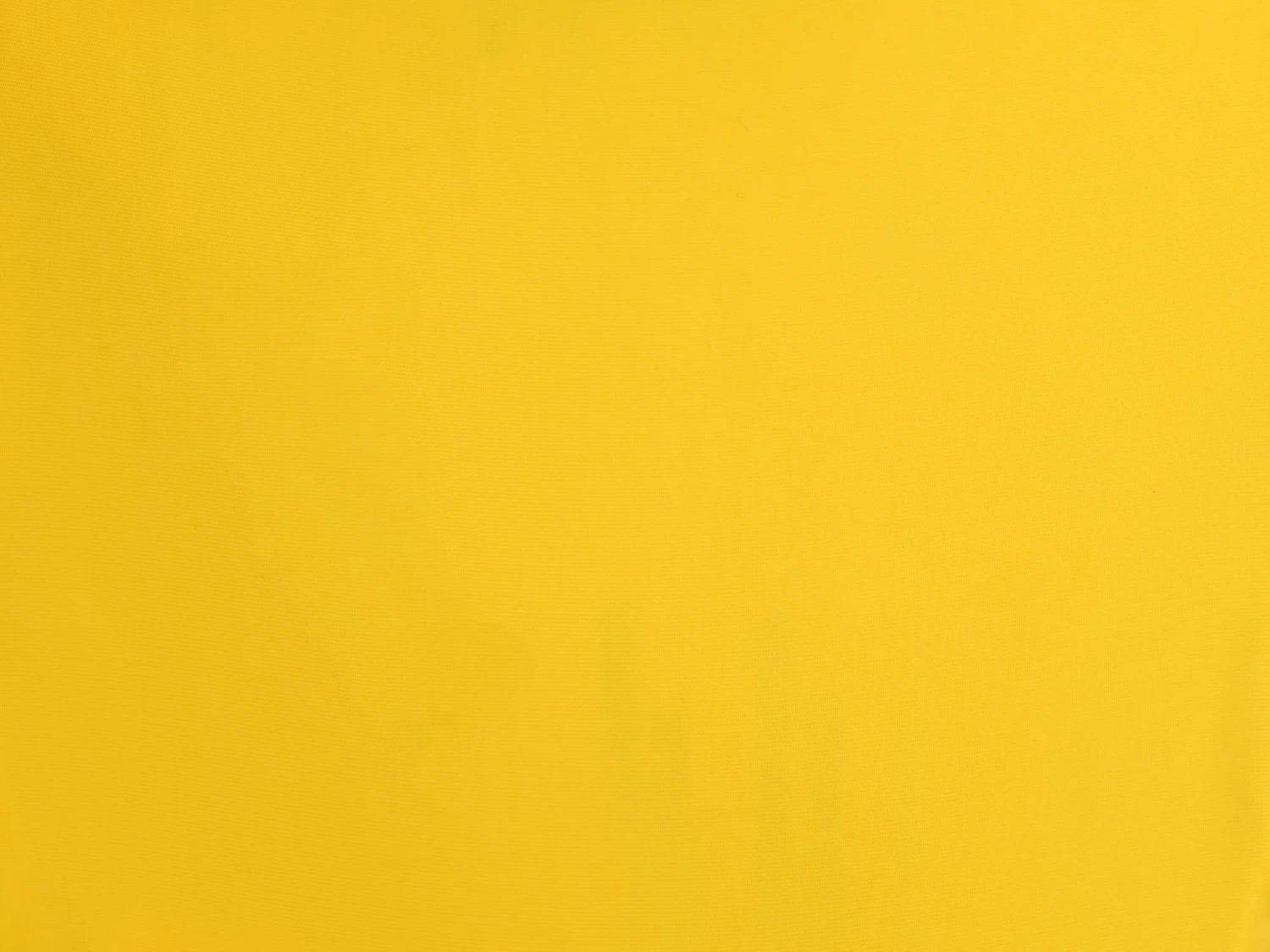 Bottom Sunflower Italy 7 Bottom Sunflower Italy - Image 5