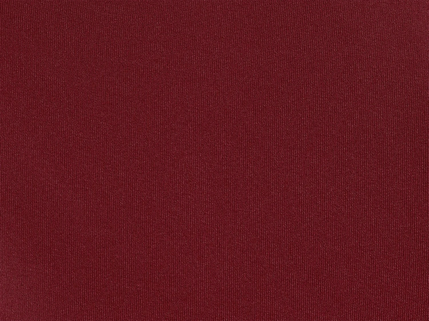 Bottom Shimmer-divino Belted-high-waist 6 Bottom Shimmer-divino Belted-high-waist - Image 4