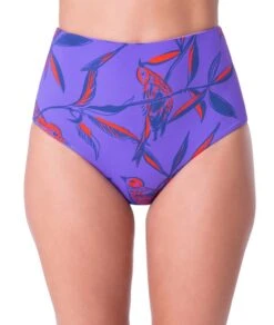 Bottom Meia Taca Hot Cuco Roxo