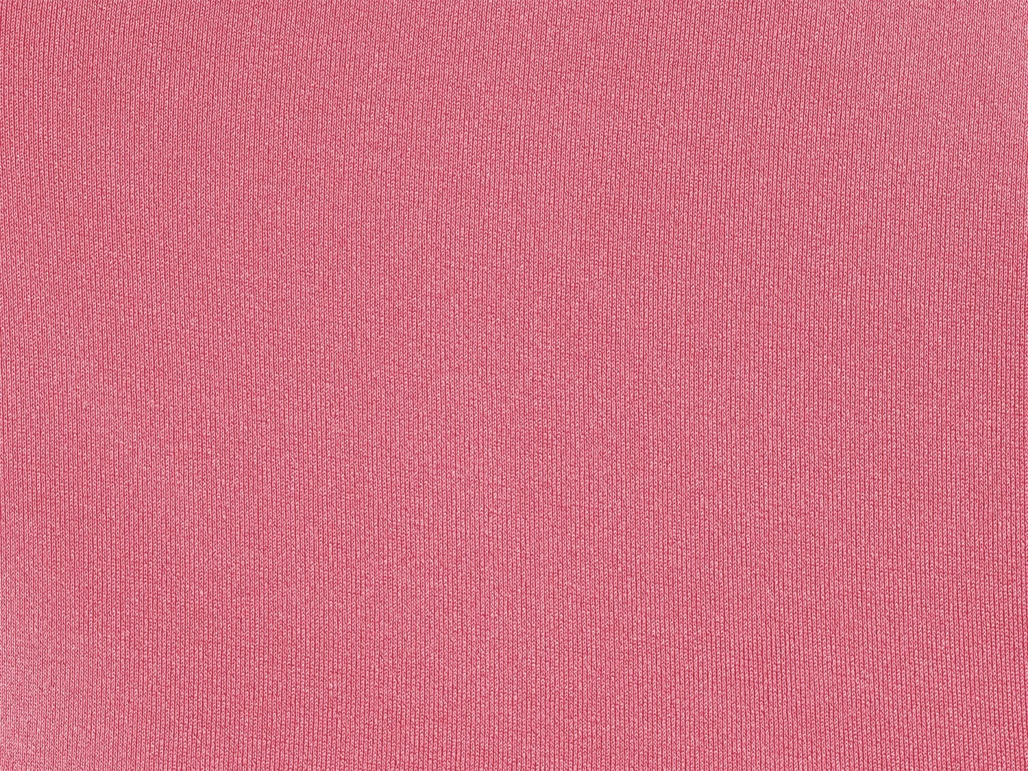 Bottom Shimmer-confetti Belted-high-waist 6 Bottom Shimmer-confetti Belted-high-waist - Image 4