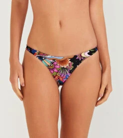 Bottom Kitty Noa Zov Magic Fungh