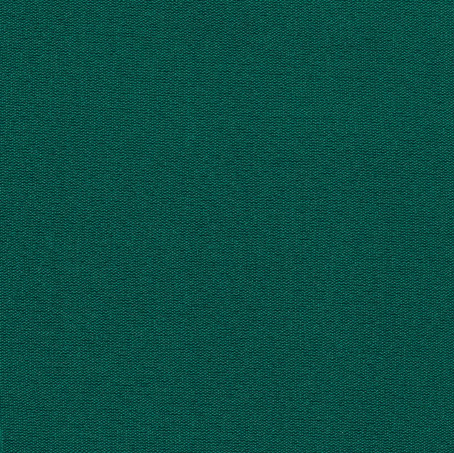 Dark Green Cheeky Brazilian Bikini Bottom With Slim Sides - Bottom Uv-galapagos Cheeky-fixa 7 Dark Green Cheeky Brazilian Bikini Bottom With Slim Sides - Bottom Uv-galapagos Cheeky-fixa - Image 5